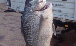 Die skipper, die “crew” en hoe dit werk